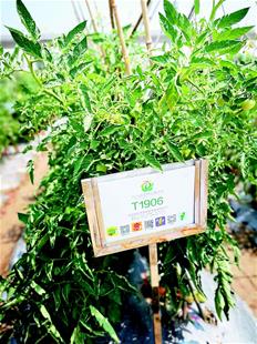 武漢離 中國種都 還有多遠