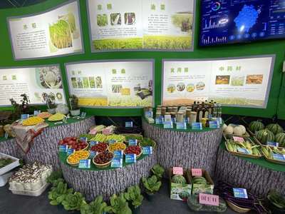 超級(jí)稻品種數(shù)量全國(guó)第一 種業(yè)發(fā)展助力浙江農(nóng)業(yè)提質(zhì)增收