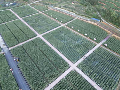 福建圓旺元種子集團蔬菜種業(yè)科技小院成功入圍中國農技科技小院名單