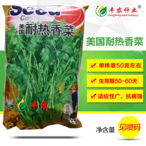 蔬菜香菜種子市場洞察 價格、供應商與種植前景